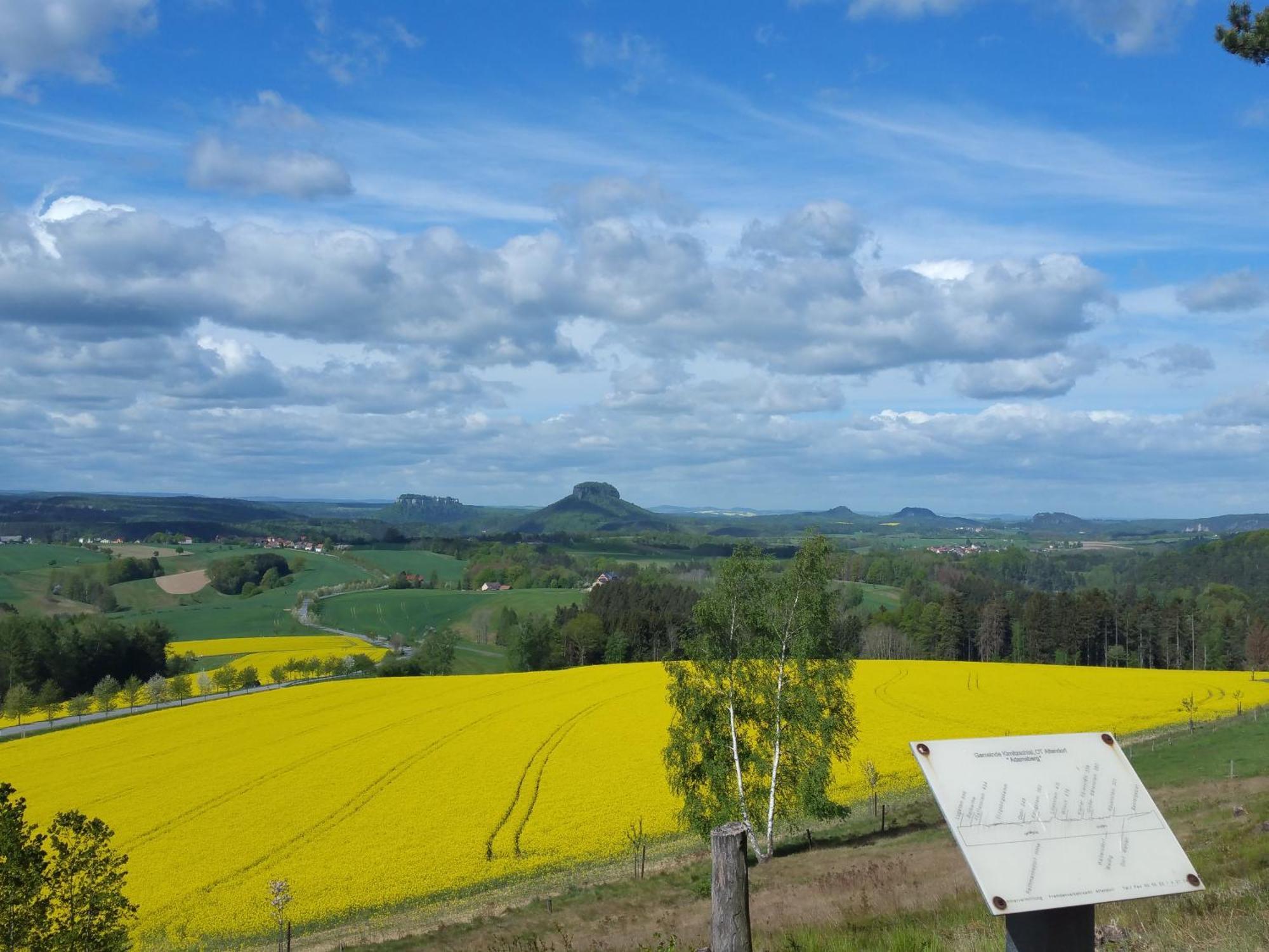 Apartmenthaus Menge Bad Schandau Buitenkant foto